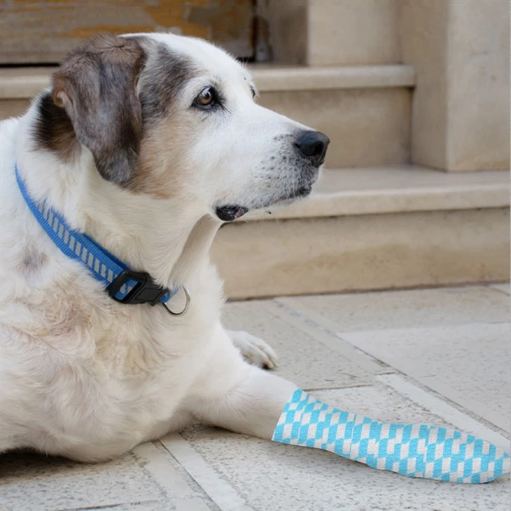 animal Bandage